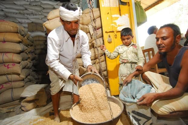 लाभार्थी फैक्टर,जातिवादी राजनीति पर भारी लाभार्थी फैक्टर,जातिवादी राजनीति पर भारी