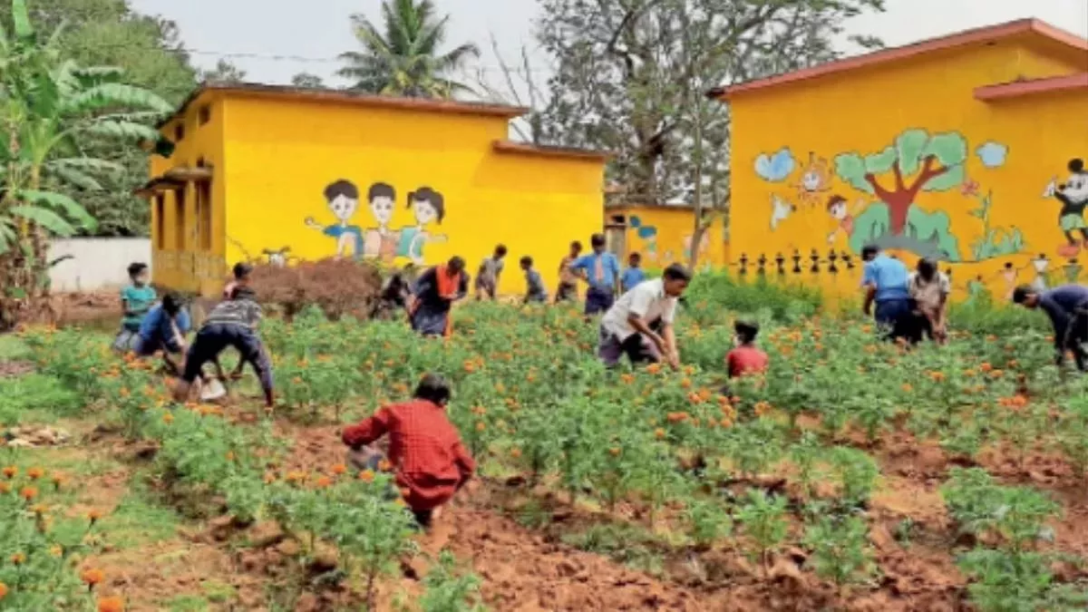 पैक्सों के गठन के लिए नई नियमावाली बनाई गई है जिसे अभी तक 17 राज्यों ने स्वीकार कर लिया…