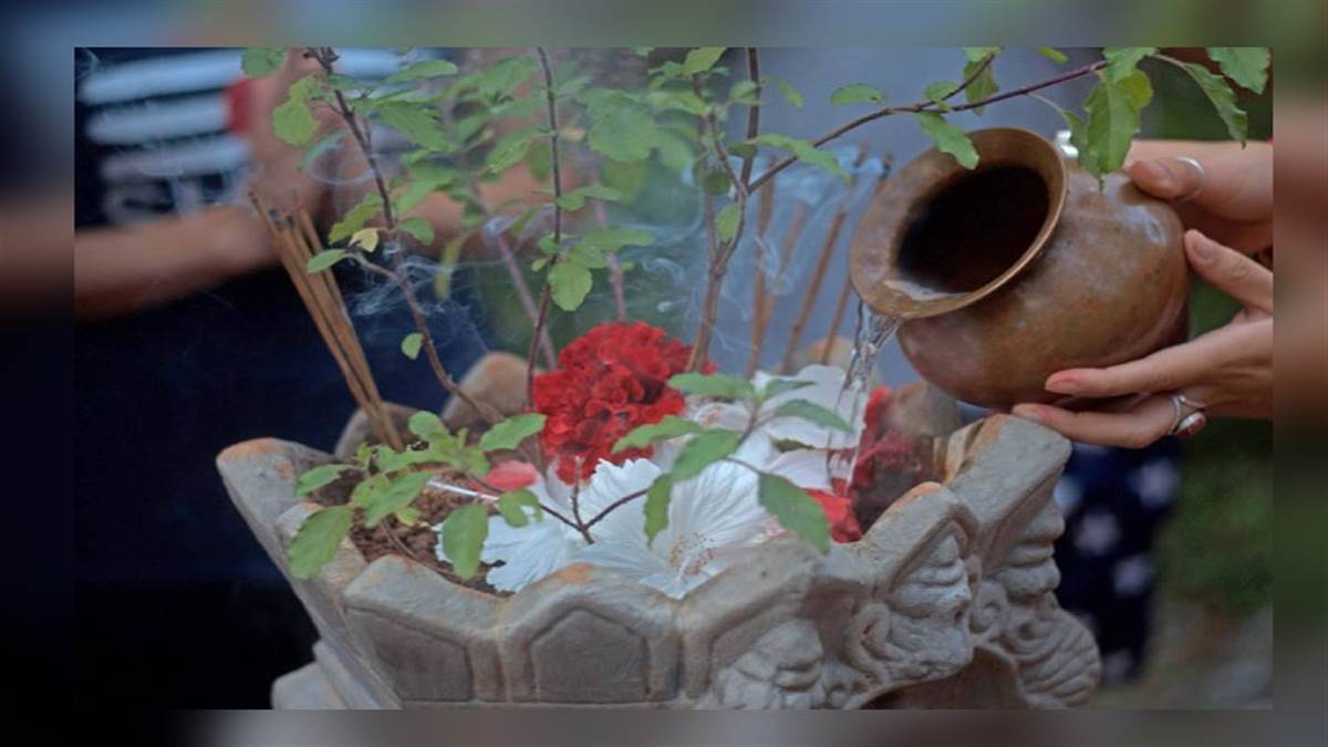 माता तुलसी को जल चढ़ाते समय ज़रूर बोले ये मंत्र… माता तुलसी को जल चढ़ाते समय ज़रूर बोले ये मंत्र…