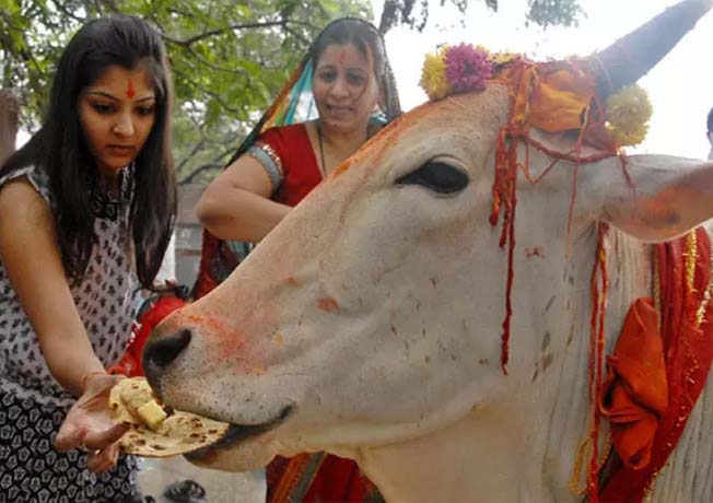 अगर आप भी जीवन में सुख, शांति और धन पाना चाहते हैं, तो गौ माता को ये चीजें जरूर खिलाएं… अगर आप भी जीवन में सुख, शांति और धन पाना चाहते हैं, तो गौ माता को ये चीजें जरूर खिलाएं…
