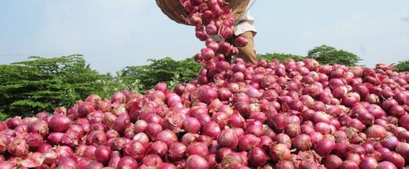 प्याज की खेती से किसानों की आर्थिक स्थिति होगी मजबूत
