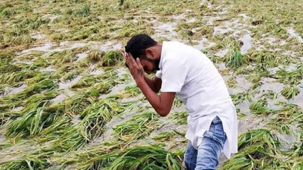 देश के कई हिस्सों में बेमौसम बारिश और मानसून की अनिश्चितता की आशंका के कारण सूखे का खतरा… देश के कई हिस्सों में बेमौसम बारिश और मानसून की अनिश्चितता की आशंका के कारण सूखे का खतरा…