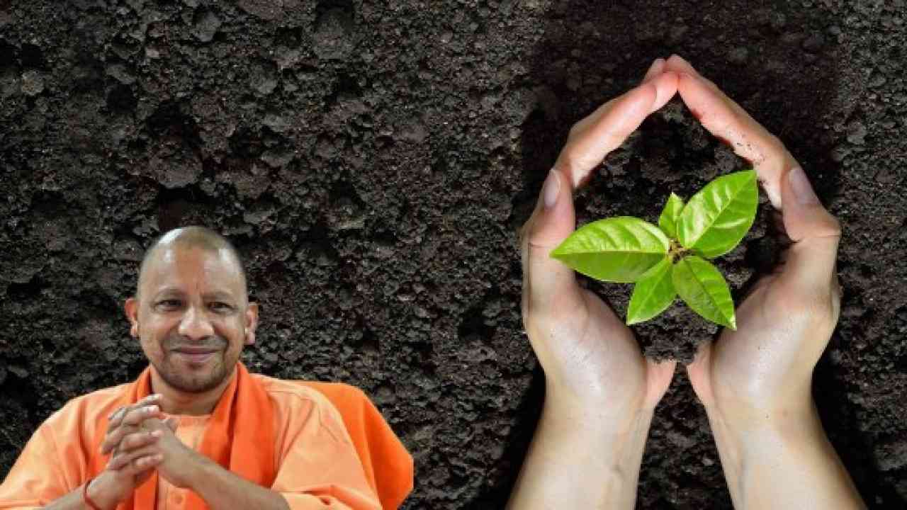 सीएम योगी आदित्यनाथ ने वृहद पौधरोपण अभियान के तहत 35 करोड़ पौधे लगाए जाने का रखा लक्ष्य, जानें अन्य ख़बरें .. सीएम योगी आदित्यनाथ ने वृहद पौधरोपण अभियान के तहत 35 करोड़ पौधे लगाए जाने का रखा लक्ष्य, जानें अन्य ख़बरें ..