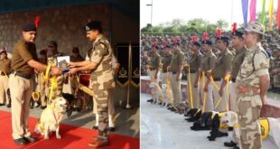 CISF में कार्यरत तीन स्निफर डॉग हाल ही में हुए रिटायर, अधिकारियों ने किया भव्य विदाई समारोह