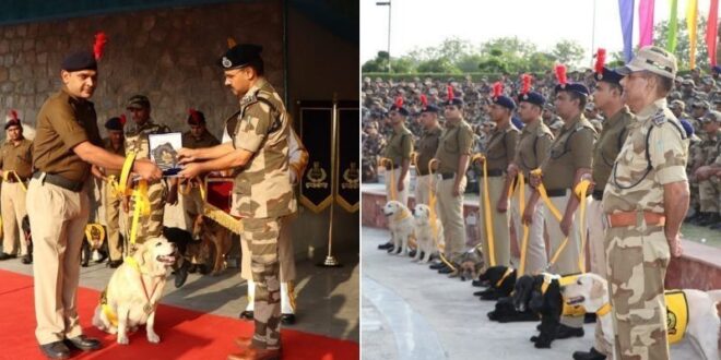 CISF में कार्यरत तीन स्निफर डॉग हाल ही में हुए रिटायर, अधिकारियों ने किया भव्य विदाई समारोह