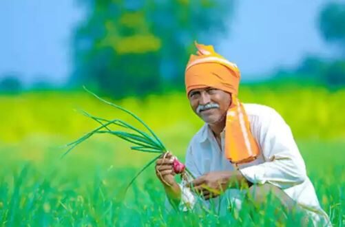 PM Kisan Yojana: ई-केवाईसी किस्त पाने के लिए क्यों है जरुरी ? यहाँ जाने