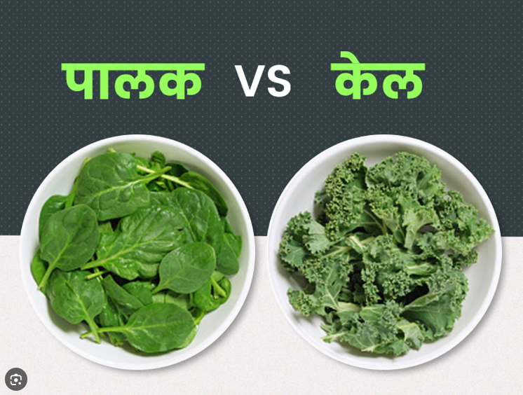 जानिए पालक और केल ‘सुपरफूड’ फायदेमंद खाने से शरीर में क्या फायदे देता है