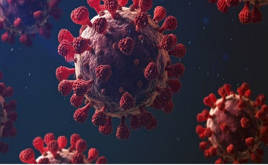 जानिए क्या वापस आ रहा है कोरोना?