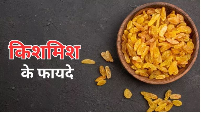 किशमिश सेहत के गुणों का खजाना है,जाने किस के फायदे किशमिश सेहत के गुणों का खजाना है,जाने किस के फायदे