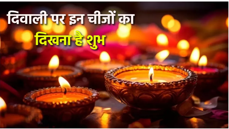 अगर दिवाली के दिन दिख जाएं ये जीव,तो समझिए और भी शुभ होने वाली है दिवाली अगर दिवाली के दिन दिख जाएं ये जीव,तो समझिए और भी शुभ होने वाली है दिवाली