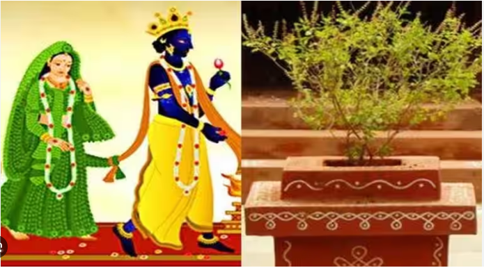 अगर पहली बार कर रहे हैं तुलसी विवाह,तो जाने ले कोन कोन सी सामग्री जरूरी है अगर पहली बार कर रहे हैं तुलसी विवाह,तो जाने ले कोन कोन सी सामग्री जरूरी है