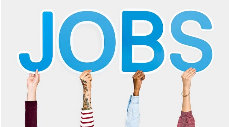 ग्राहक सेवा कार्यकारी सहित 800 से अधिक पदों पर सीधी भर्ती