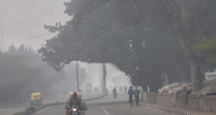 नए साल की शुरुआत कड़ाके की ठंड के साथ..