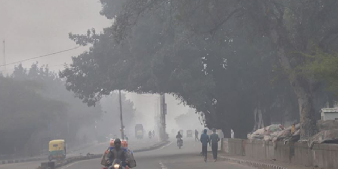 नए साल की शुरुआत कड़ाके की ठंड के साथ..