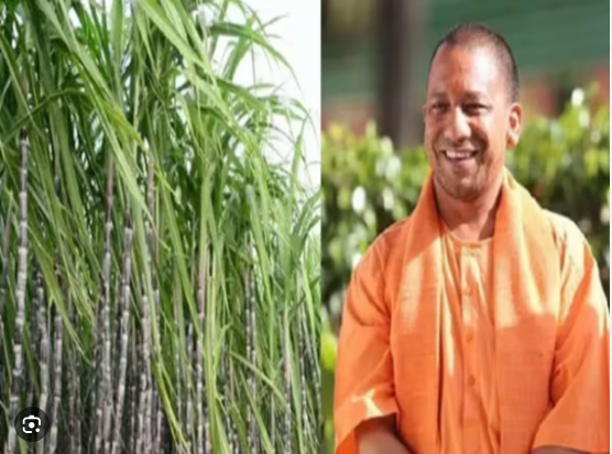 योगी सरकार गन्ना किसानों को देगी बड़ी सौगात