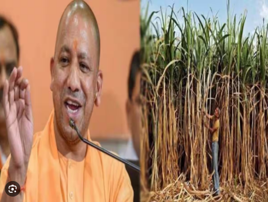 योगी कैबिनेट में किसानों को बड़ा तोहफा,कई प्रस्तावों को मिली मंजूरी