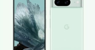 Google Pixel 8 और 8 Pro नए Mint Green कलर में हुए पेश