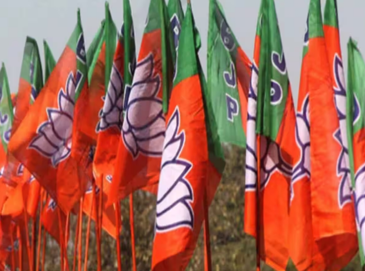 बीजेपी ने जारी किया राज्यसभा उम्मीदवारों की दूसरी लिस्ट बीजेपी ने जारी किया राज्यसभा उम्मीदवारों की दूसरी लिस्ट