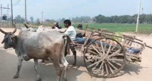 यूपी के इस गांव में नहीं पहुंच पाती एंबुलेंस,बीमार लोगों के लिए बैलगाड़ी ही सहारा!