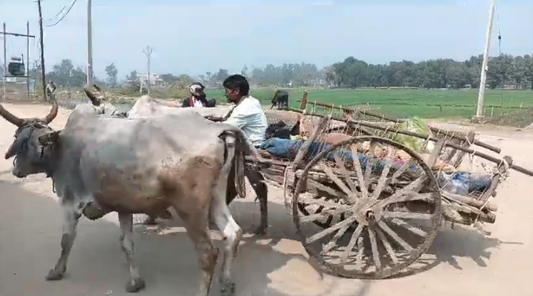 यूपी के इस गांव में नहीं पहुंच पाती एंबुलेंस,बीमार लोगों के लिए बैलगाड़ी ही सहारा! यूपी के इस गांव में नहीं पहुंच पाती एंबुलेंस,बीमार लोगों के लिए बैलगाड़ी ही सहारा!