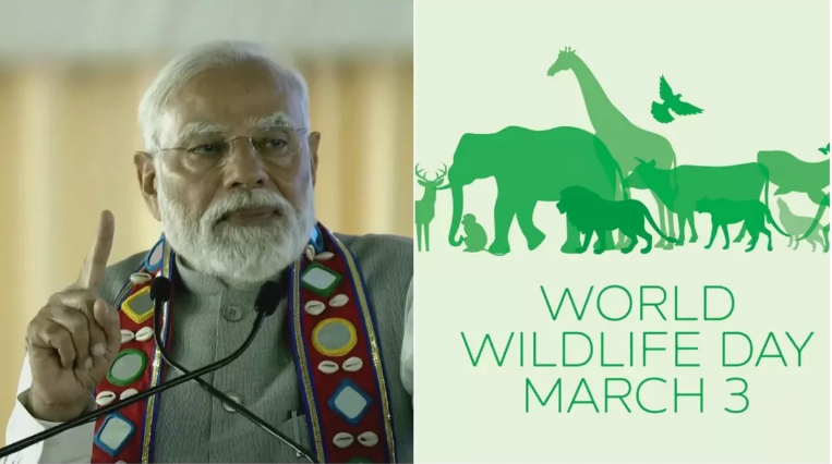 आज विश्वभर में मनाया जा रहा ‘वन्यजीव दिवस’