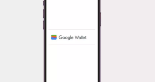 Google Wallet ऐप भारत में हुआ लॉन्च, GPay से है बिलकुल अलग