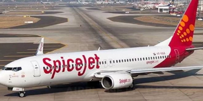 SpiceJet की फ्लाइट के इंजन से टकराया पक्षी, लेह जा रहा विमान वापस दिल्‍ली में हुआ लैंड