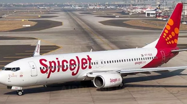 SpiceJet की फ्लाइट के इंजन से टकराया पक्षी, लेह जा रहा विमान वापस दिल्‍ली में हुआ लैंड
