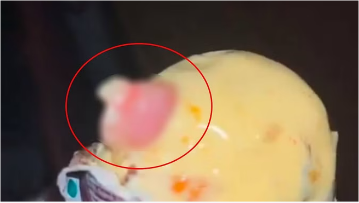 पुणे: आइसक्रीम में इंसान की उंगली मिलने के मामले में एफएसएसएआई की कार्रवाई पुणे: आइसक्रीम में इंसान की उंगली मिलने के मामले में एफएसएसएआई की कार्रवाई