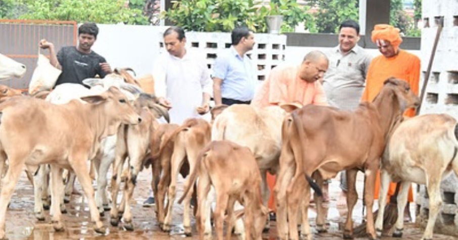 चुनावी शोर शराबे के थमने के साथ गुरु दर्शन, गोसेवा और बालप्रेम में रमे रहे CM योगी चुनावी शोर शराबे के थमने के साथ गुरु दर्शन, गोसेवा और बालप्रेम में रमे रहे CM योगी