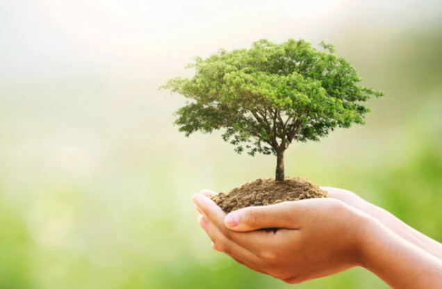 पर्यावरण को लेकर सस्टेनेबल प्रैक्टिस वर्कशॉप का आयोजन पर्यावरण को लेकर सस्टेनेबल प्रैक्टिस वर्कशॉप का आयोजन